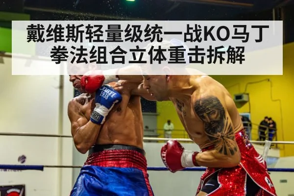 戴维斯轻量级统一战KO马丁拳法组合立体重击拆解