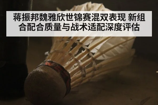 蒋振邦魏雅欣世锦赛混双表现 新组合配合质量与战术适配深度评估