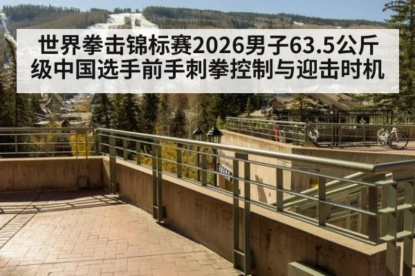 世界拳击锦标赛2026男子63.5公斤级中国选手前手刺拳控制与迎击时机